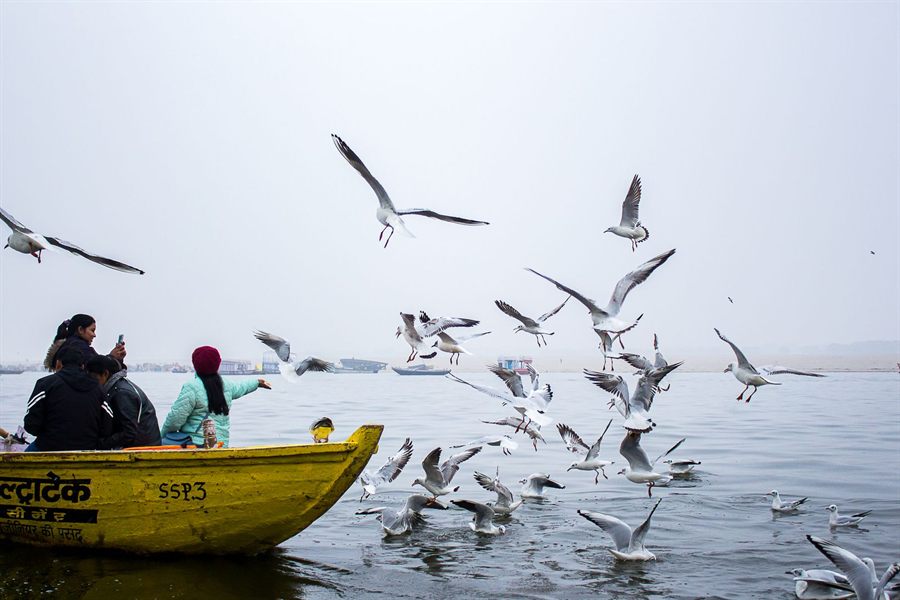 Rowboat on the Ganges at Varanasi with gulls